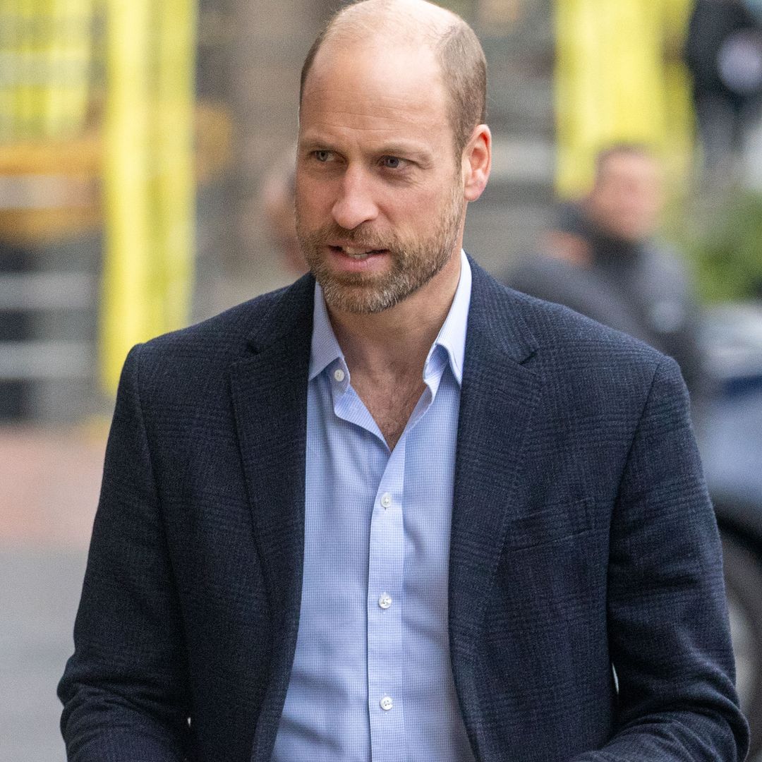 Prince William keeps his 20-year promise to honour Princess Diana's work during new outing – best photos
